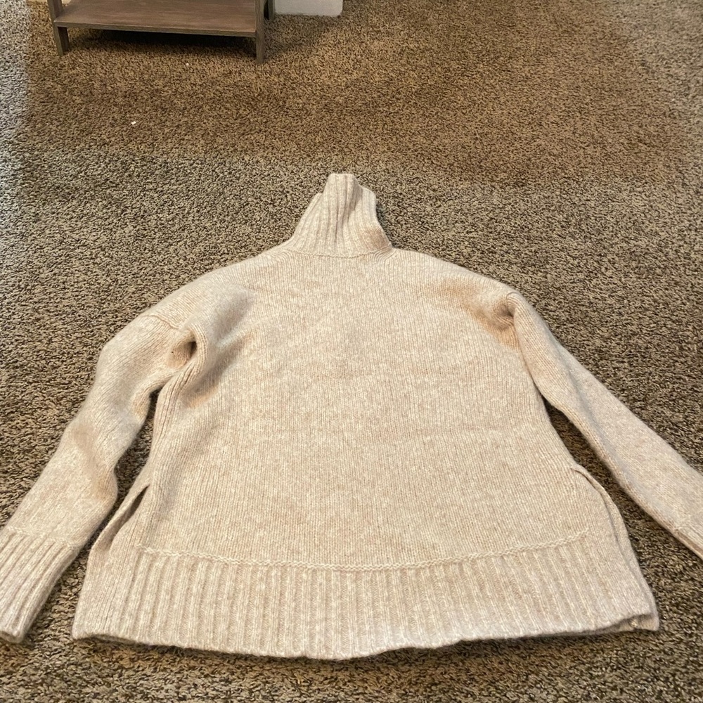 everlane turtleneck